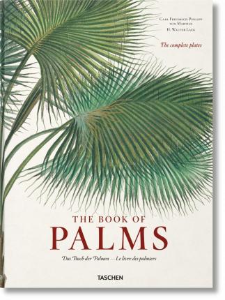 Martius. the Book of Palms - H. Walter Lack
