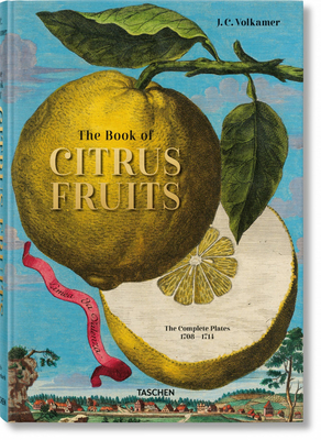 J. C. Volkamer. the Book of Citrus Fruits - Iris Lauterbach
