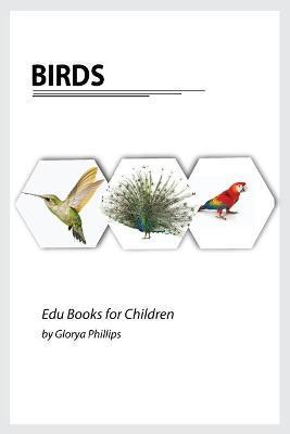 Birds: Montessori real birds book, bits of intelligence for baby and toddler, children's book, learning resources. - Glorya Phillips