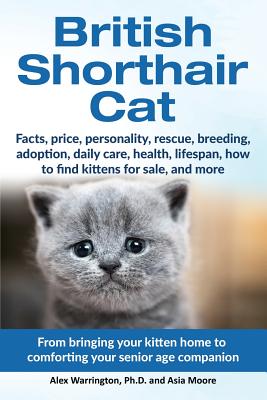 British Shorthair Cat: From bringing your kitten home to comforting your senior age beloved companion - Alex Warrington
