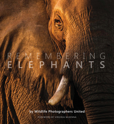 Remembering Elephants - Margot Raggett