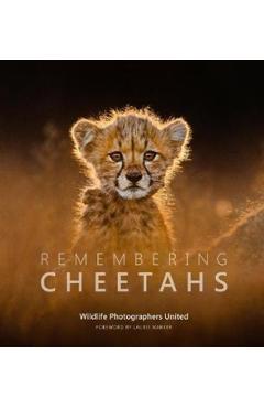 Remembering Cheetahs - Margot Raggett