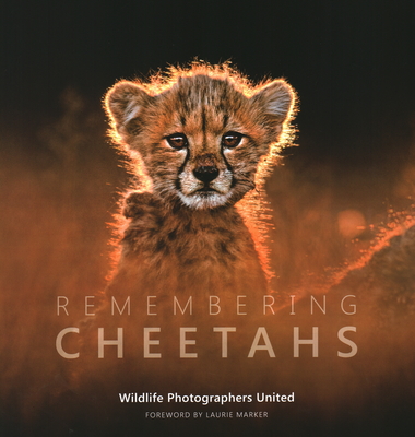 Remembering Cheetahs - Margot Raggett