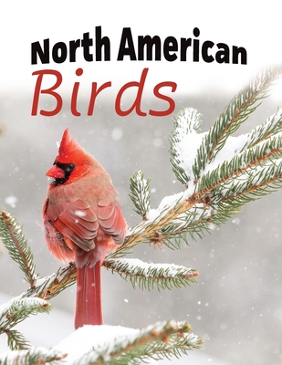 North American Birds - Lasting Happiness