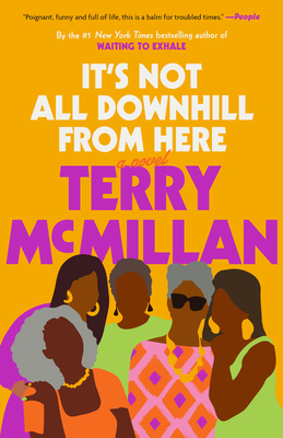 It's Not All Downhill from Here - Terry Mcmillan