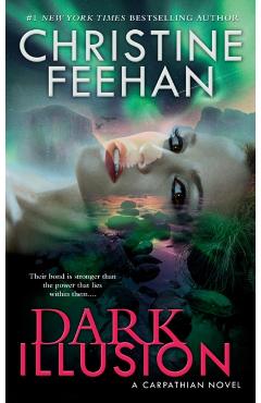 Dark Illusion - Christine Feehan