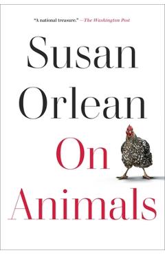 Coperta cărții 'On Animals - Susan Orlean'