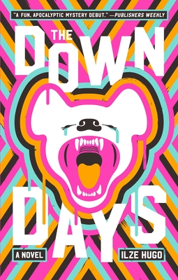 The Down Days - Ilze Hugo