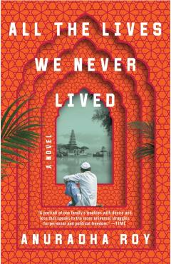 All the Lives We Never Lived - Anuradha Roy
