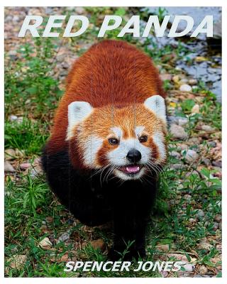Red Panda: Learn About Red Pandas-Amazing Pictures & Fun Facts - Spencer Jones