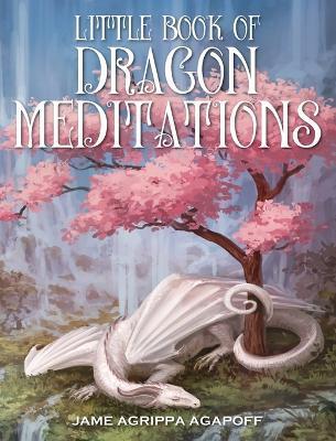Little Book of Dragon Meditations - James R. Agapoff