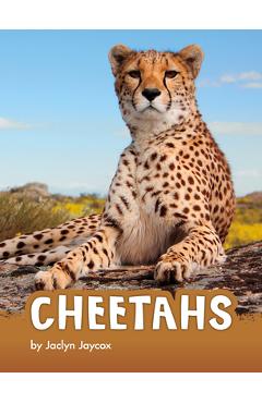 Coperta cărții 'Cheetahs - Jaclyn Jaycox'