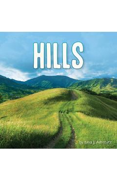 Coperta cărții 'Hills - Lisa J. Amstutz'