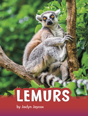 Coperta cărții 'Lemurs - Jaclyn Jaycox'
