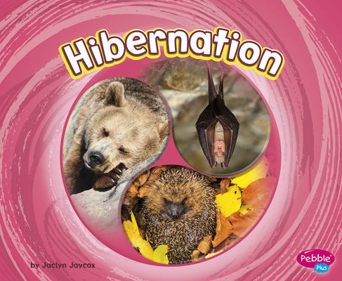 Hibernation - Jaclyn Jaycox