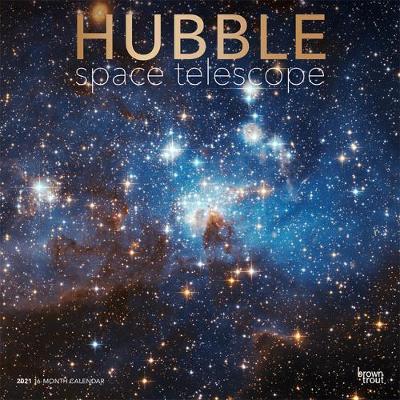 Hubble Space Telescope 2021 Square Foil - Browntrout