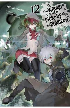 Poza produsului Is It Wrong to Try to Pick Up Girls in a Dungeon?, Vol. 12 (Light Novel) - Fujino Omori