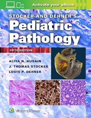 Stocker and Dehner's Pediatric Pathology - Aliya N. Husain