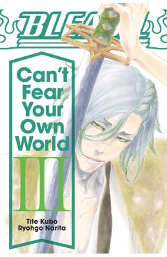 Bleach: Can't Fear Your Own World, Vol. 3 - Ryohgo Narita