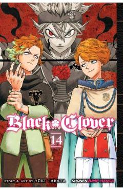 Black Clover, Vol. 28 (28)