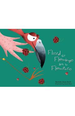 Coperta cărții 'Floyd the Flamingo Likes to Flamenco - Rachelle Jones Smith'