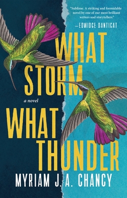 What Storm, What Thunder - Myriam J. A. Chancy