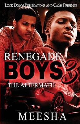 Renegade Boys 3: The Aftermath - Meesha