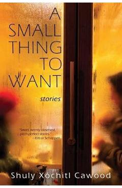 Coperta cărții 'A Small Thing to Want - Shuly X�chitl Cawood'