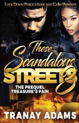 These Scandalous Streets 3: The Prequel. Treasure's Pain - Tranay Adams