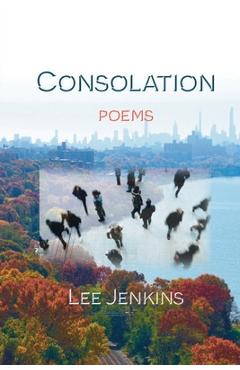 Coperta cărții 'Consolation; Poems - Lee Jenkins'