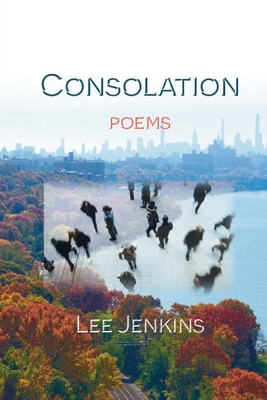 Coperta cărții 'Consolation; Poems - Lee Jenkins'