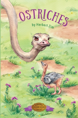 Ostriches - Herbert Zim