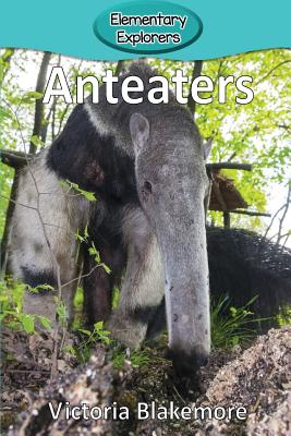 Anteaters - Victoria Blakemore