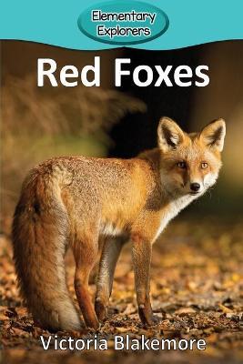 Red Foxes - Victoria Blakemore