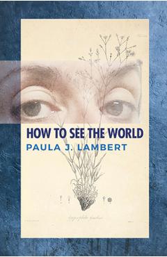 Poza produsului How to See the World: Poems - Paula J. Lambert