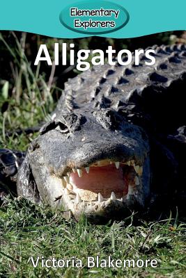 Alligators - Victoria Blakemore