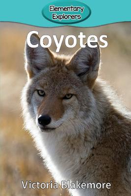 Coyotes - Victoria Blakemore