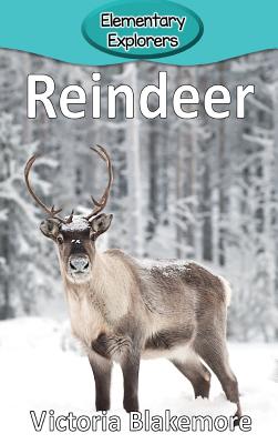 Reindeer - Victoria Blakemore