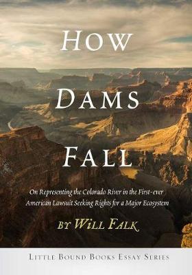 How Dams Fall - Will Falk