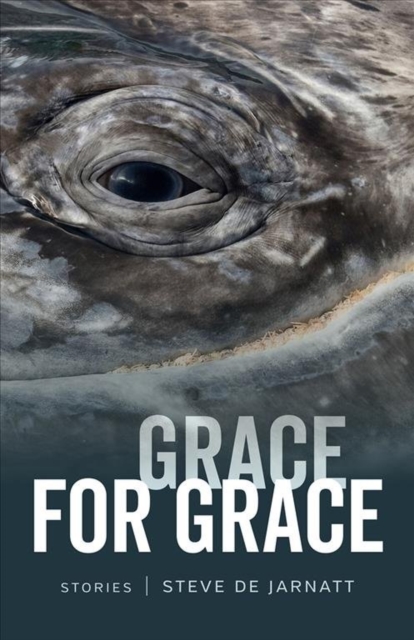 Grace for Grace: Stories - Steve De Jarnatt