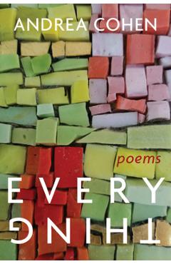 Poza produsului Everything - Andrea Cohen