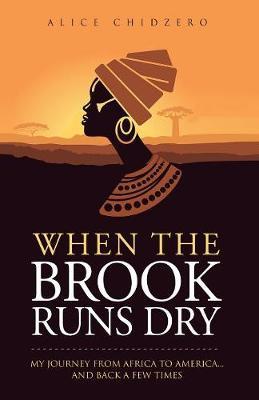 When the Brook Runs Dry: My Journey From Africa to America... and Back a Few Times - Alice Chidzero