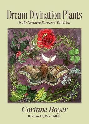 Dream Divination Plants: In Northwestern European Traditions - Corinne Boyer
