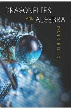 Coperta cărții 'Dragonflies and Algebra - Diane Kistner'
