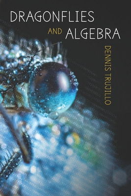 Coperta cărții 'Dragonflies and Algebra - Diane Kistner'