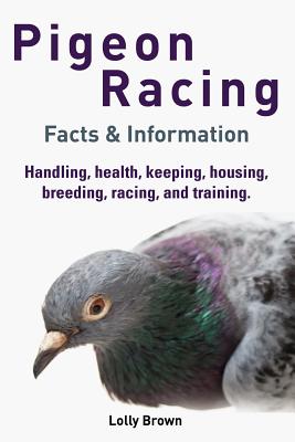 Pigeon Racing: Handling, health, keeping, housing, breeding, racing, and training. Facts & Information - Lolly Brown
