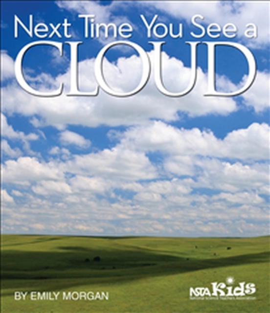 Next Time You See a Cloud - Emily Morgan