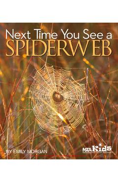Poza produsului Next Time You See a Spiderweb - Emily Morgan