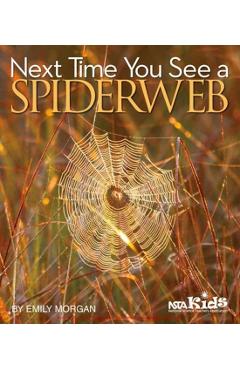 Next Time You See a Spiderweb - Emily Morgan