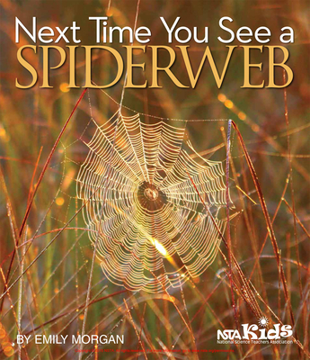 Next Time You See a Spiderweb - Emily Morgan